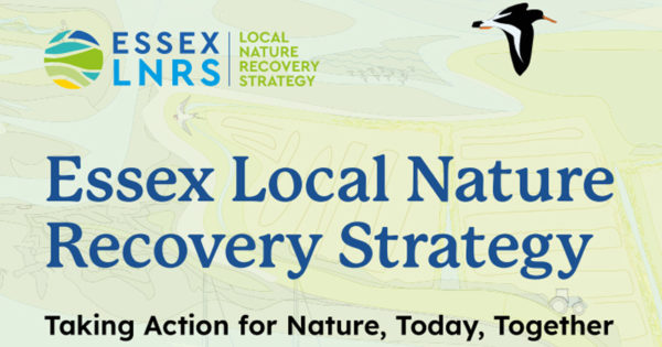 Essex Local Nature Recovery Strategy Consultation